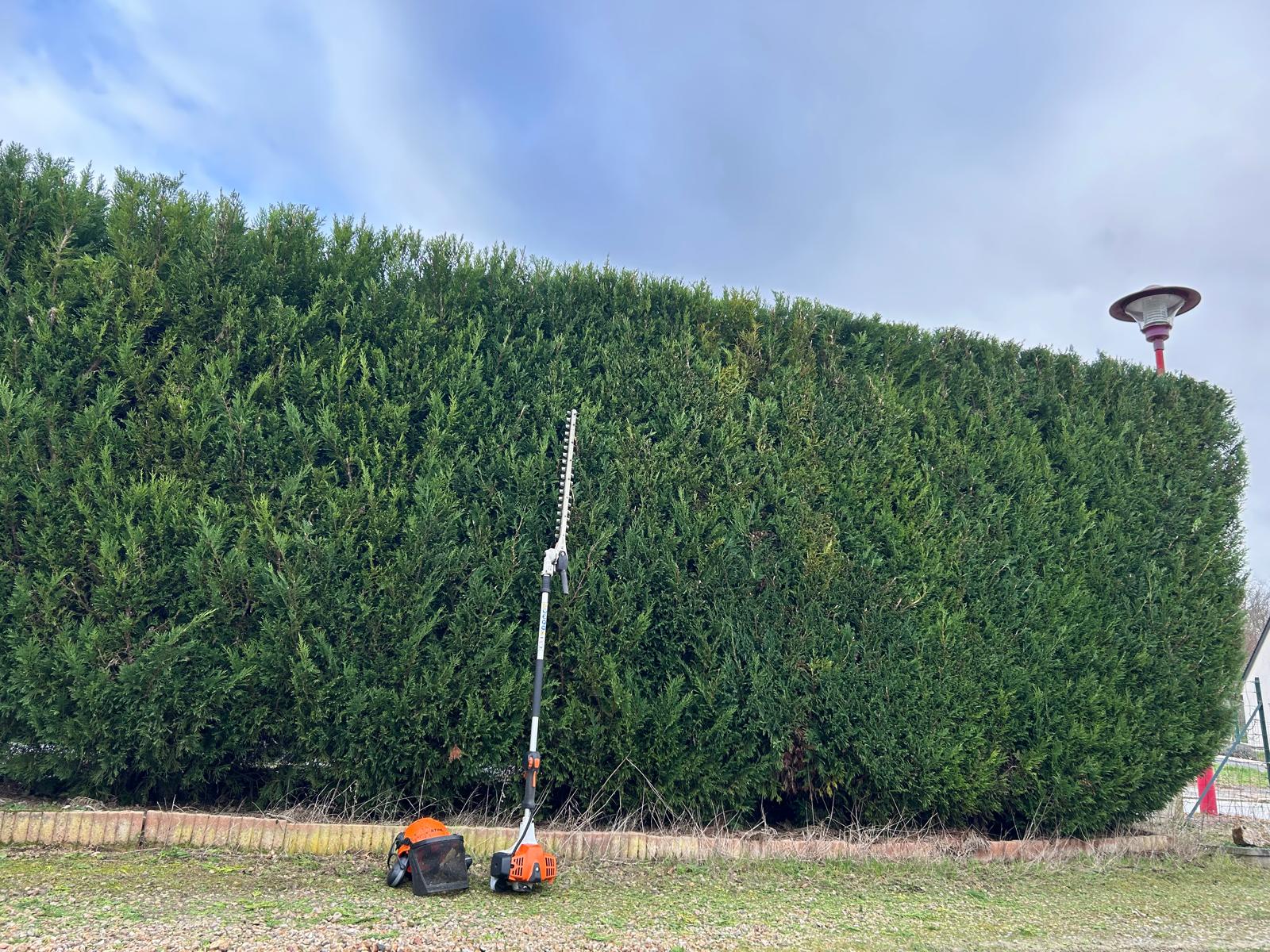 WhatsApp Image 2026-02-22 at 11.16.18 (6)