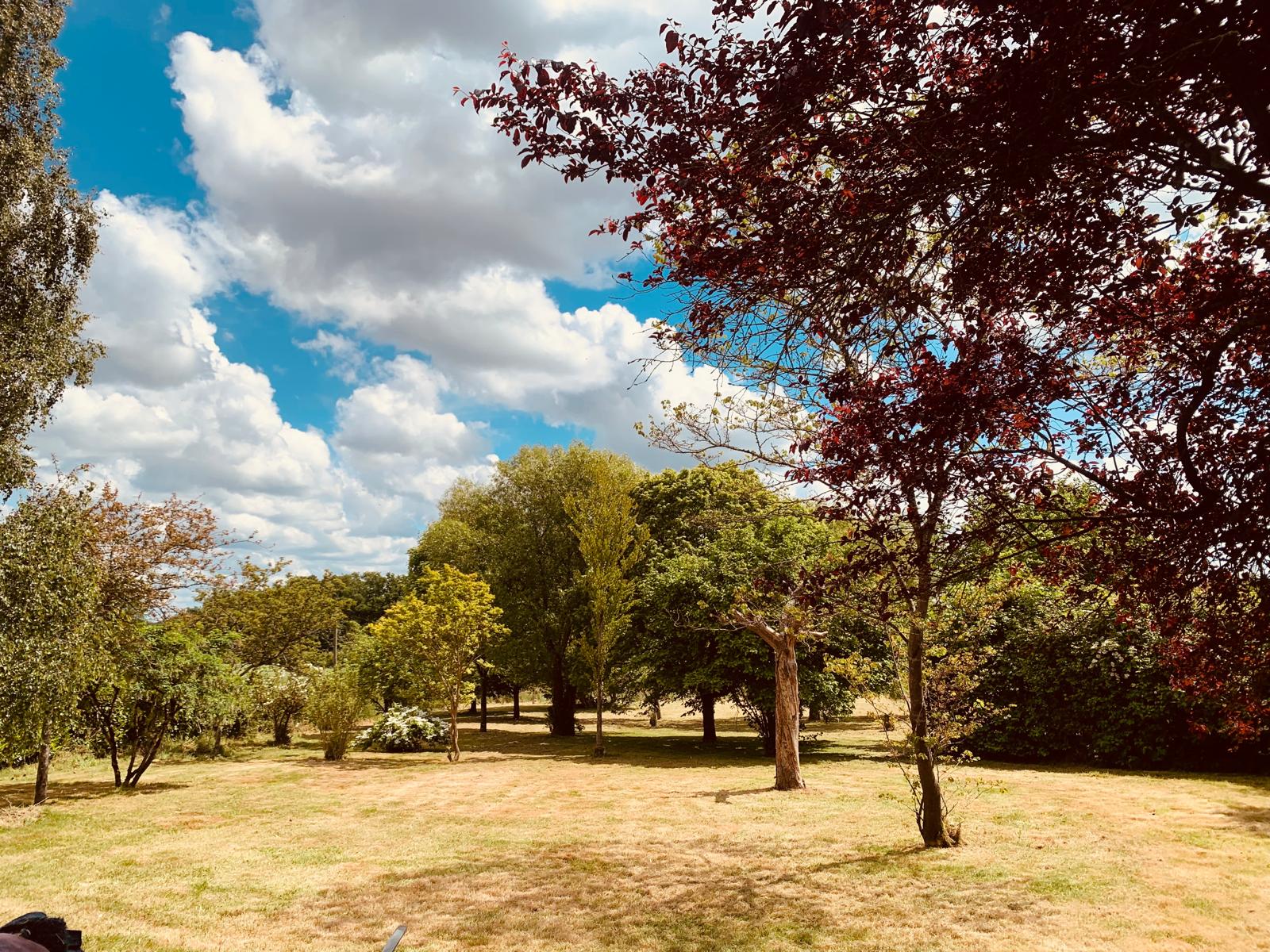 WhatsApp Image 2026-02-24 at 19.27.18