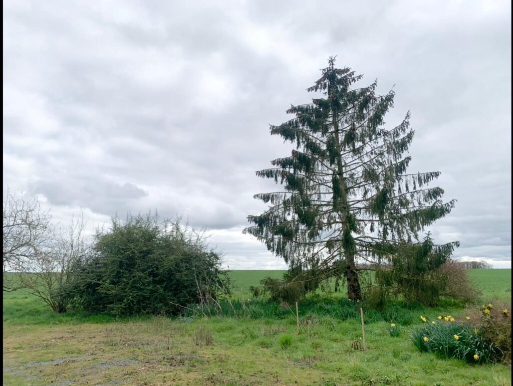 WhatsApp Image 2026-02-28 at 12.45.47 (1)