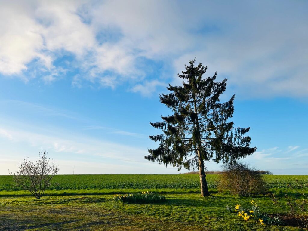 WhatsApp Image 2026-02-28 at 12.45.49 (1)