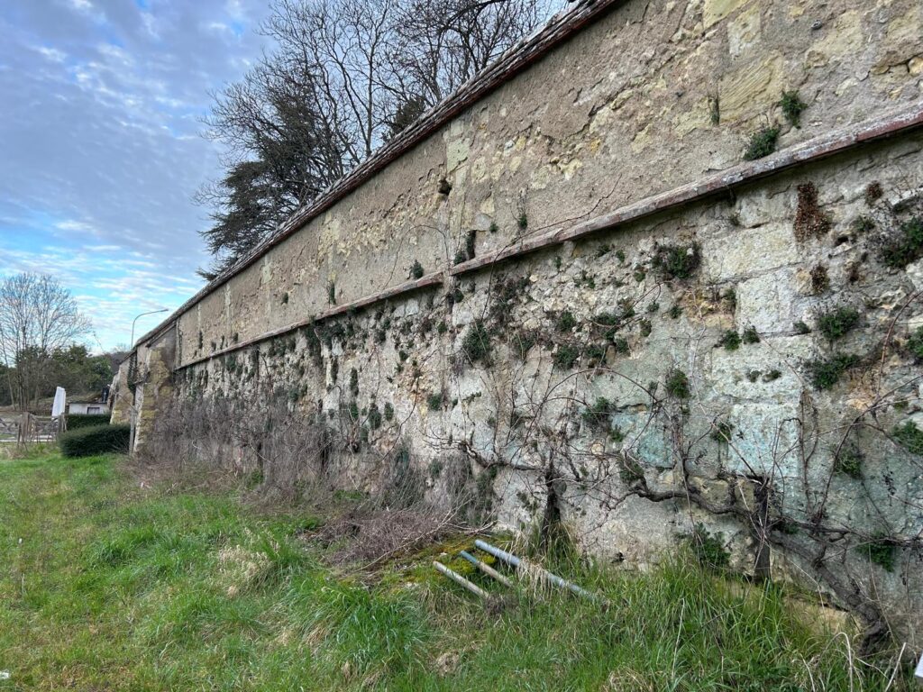 WhatsApp Image 2026-03-05 at 16.11.05 (2)