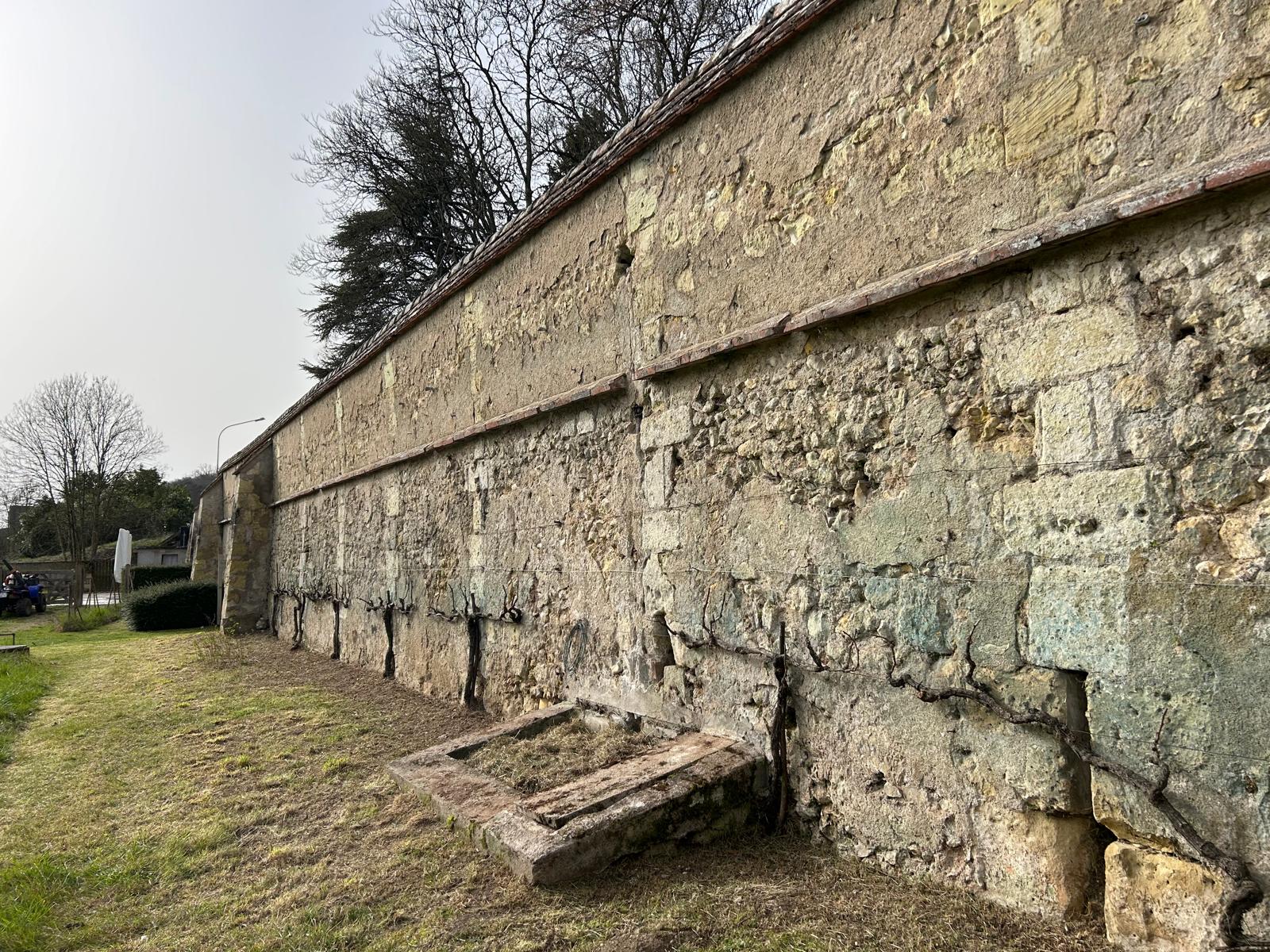 WhatsApp Image 2026-03-05 at 16.11.05 (3)