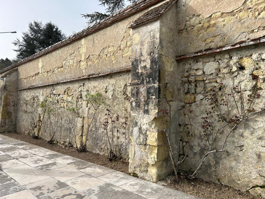 WhatsApp Image 2026-03-05 at 16.11.50 (2)