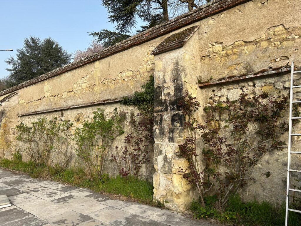 WhatsApp Image 2026-03-05 at 16.11.50 (3)