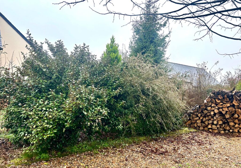 WhatsApp Image 2026-03-05 at 19.05.11 (2)