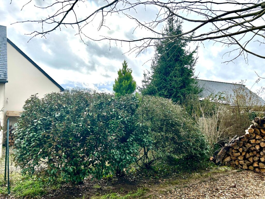 WhatsApp Image 2026-03-05 at 19.05.11 (3)