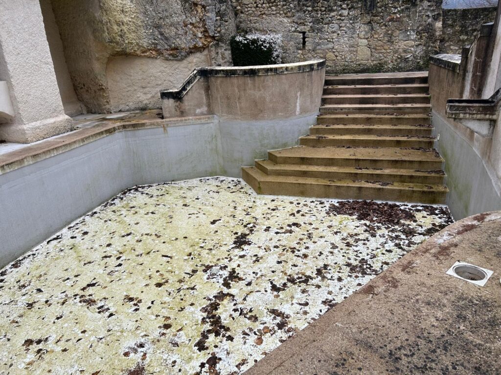 WhatsApp Image 2026-03-11 at 17.56.59 (2)