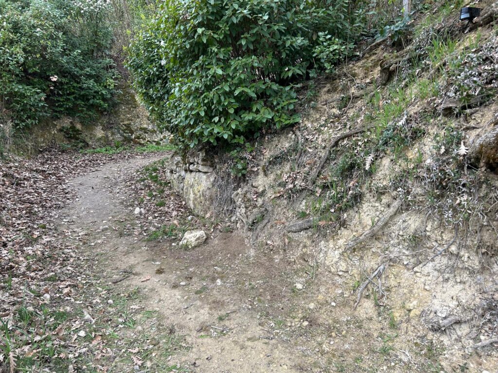 WhatsApp Image 2026-03-16 at 19.59.48 (2)