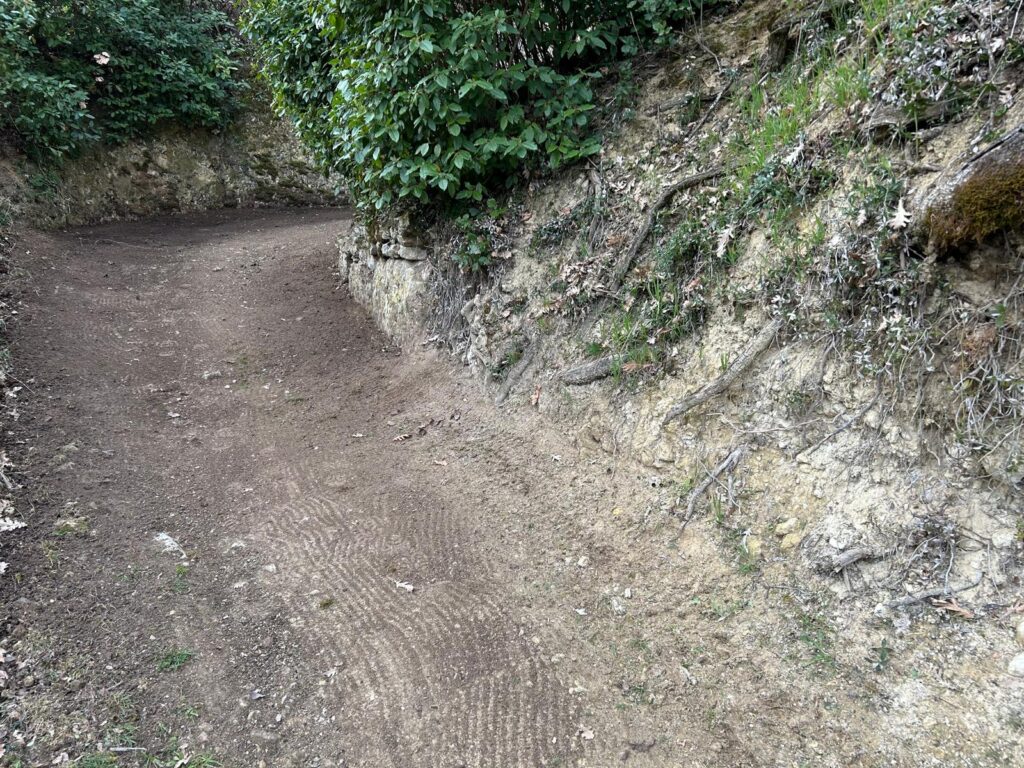 WhatsApp Image 2026-03-16 at 19.59.48 (3)