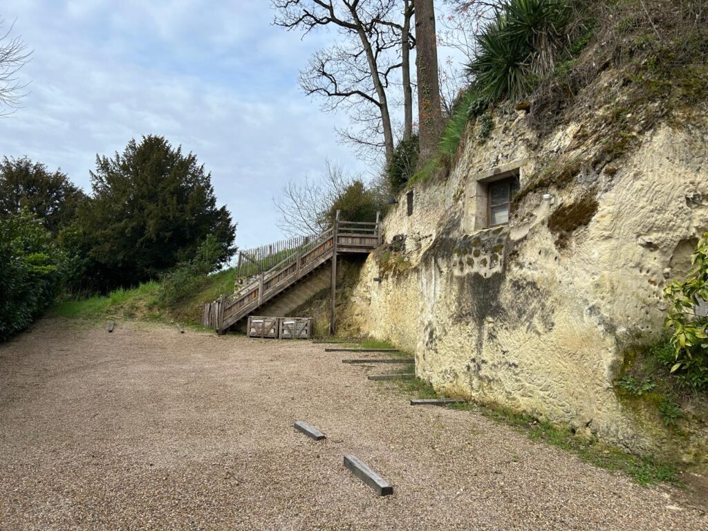 WhatsApp Image 2026-03-19 at 13.15.47 (1)