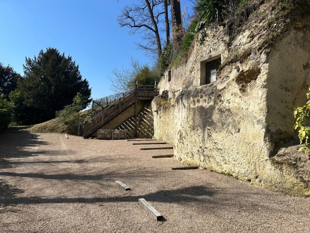 WhatsApp Image 2026-03-19 at 13.15.48 (1)