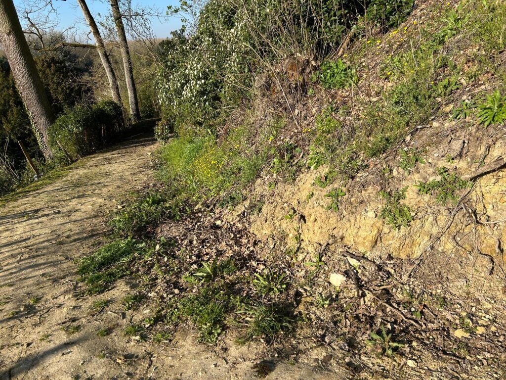 WhatsApp Image 2026-03-19 at 17.01.18 (1)