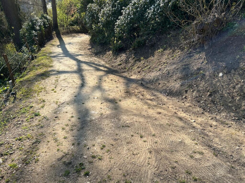 WhatsApp Image 2026-03-19 at 17.01.19 (3)