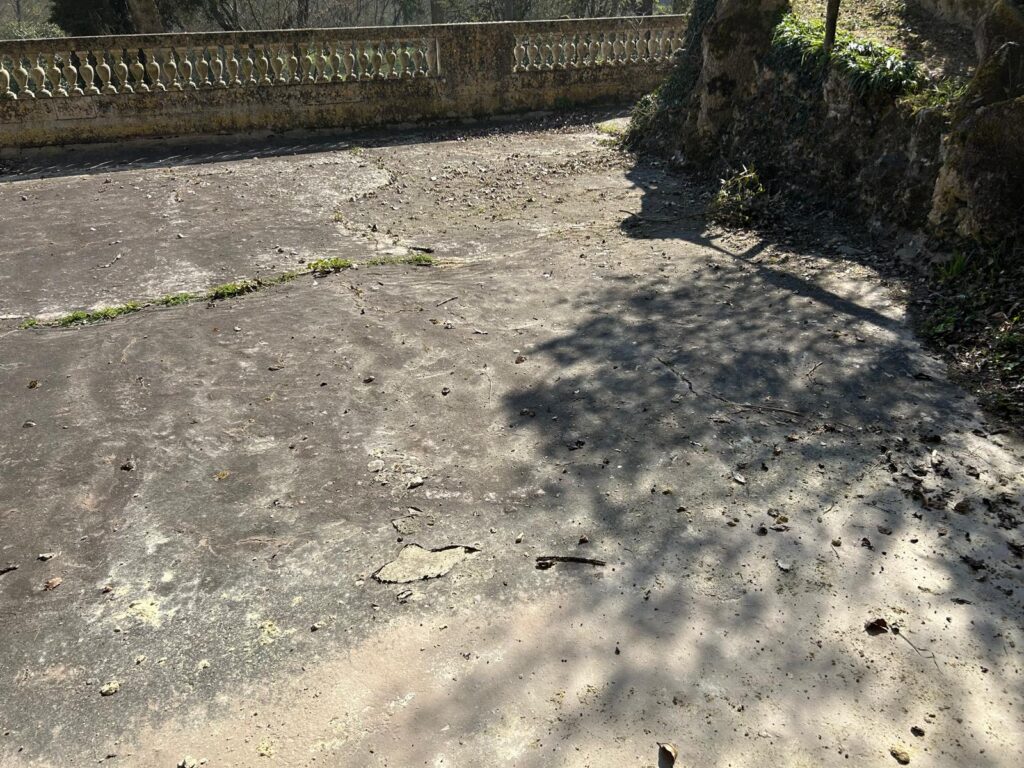 WhatsApp Image 2026-03-19 at 17.01.20