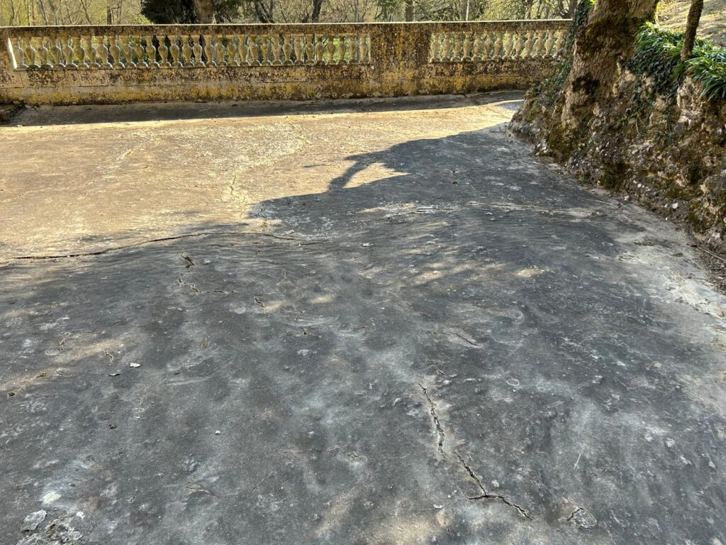 WhatsApp Image 2026-03-19 at 17.01.22