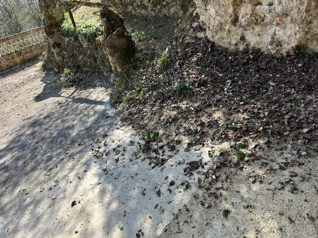 WhatsApp Image 2026-03-19 at 17.01.30 (6)