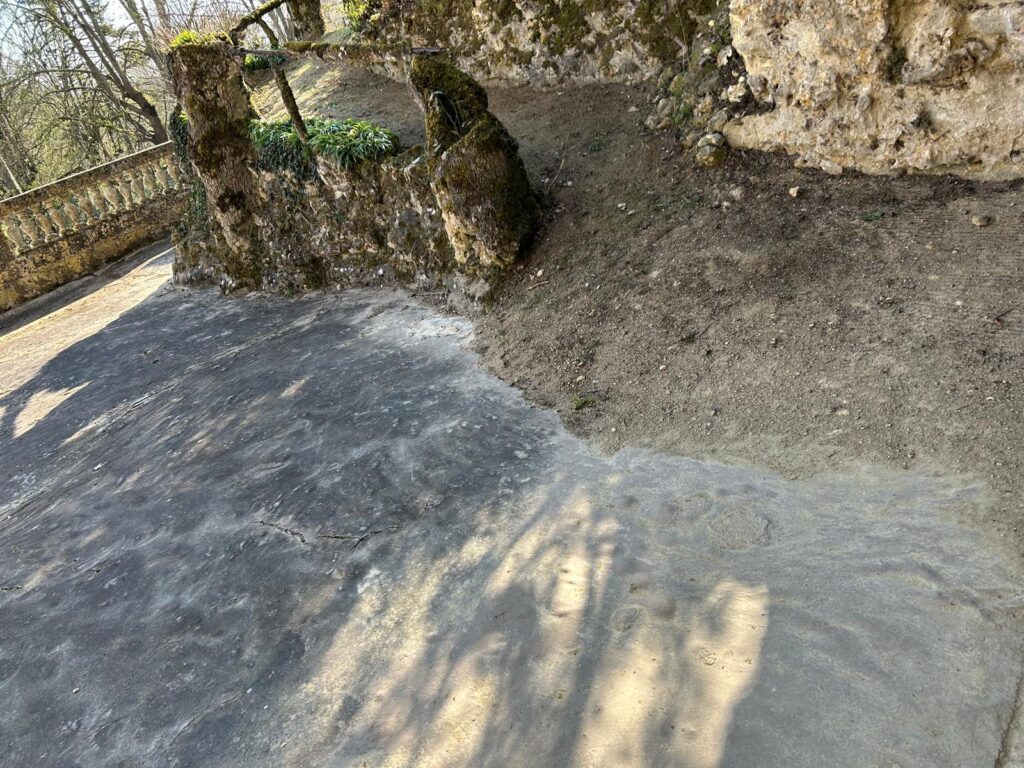 WhatsApp Image 2026-03-19 at 17.01.30 (7)