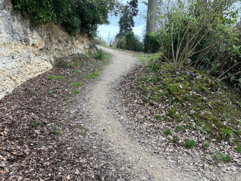 WhatsApp Image 2026-03-19 at 17.01.31 (2)