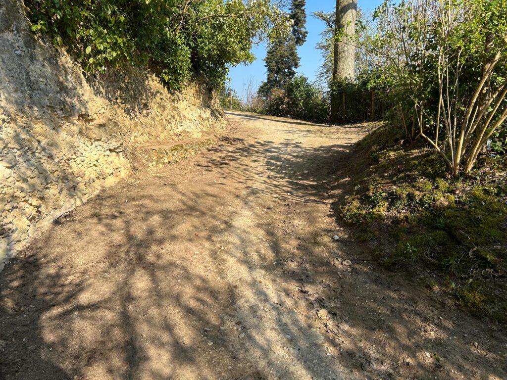 WhatsApp Image 2026-03-19 at 17.01.31 (3)