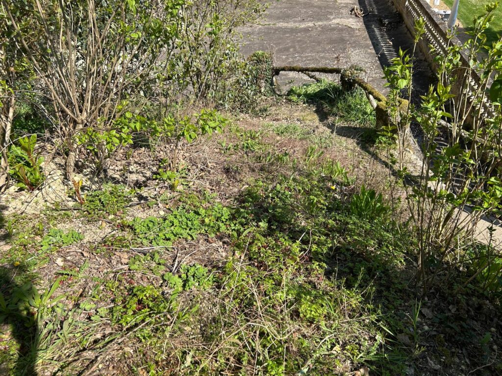 WhatsApp Image 2026-03-19 at 17.03.24 (1)