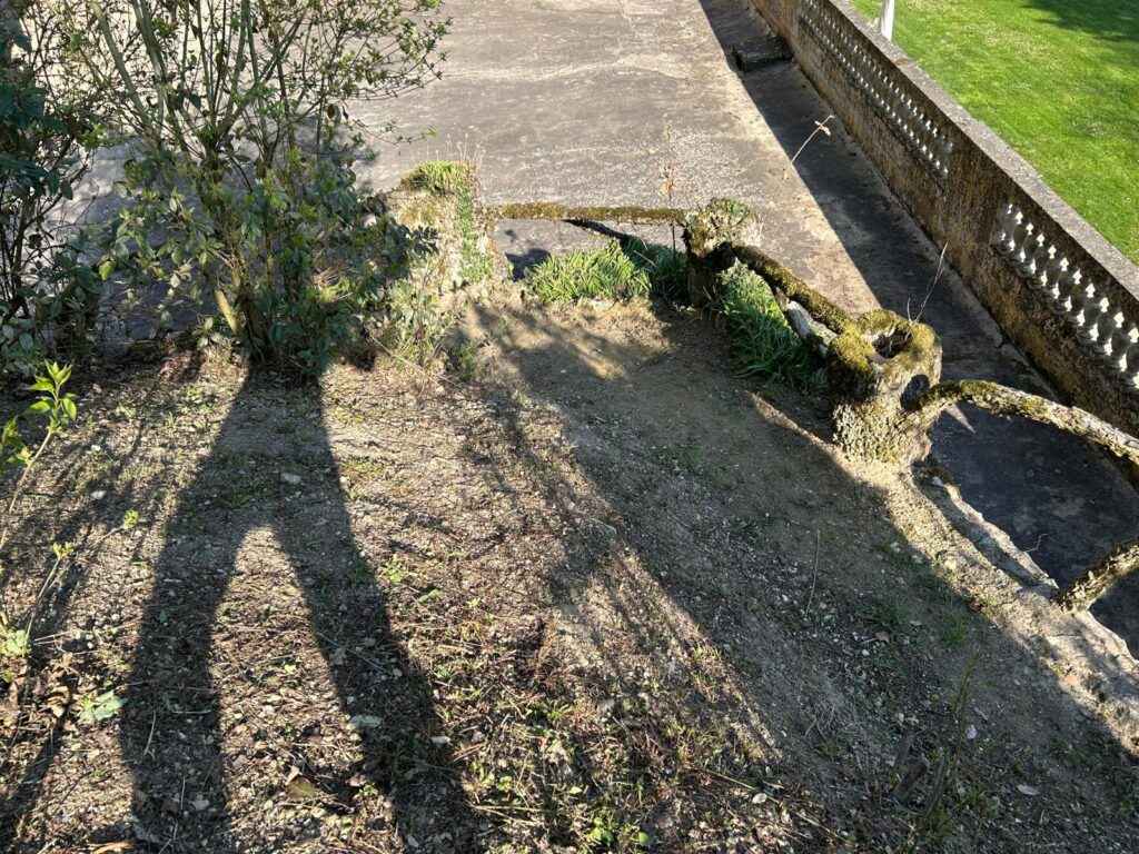 WhatsApp Image 2026-03-19 at 17.03.25 (1)