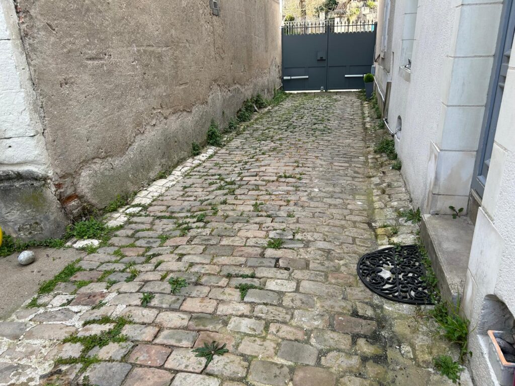 WhatsApp Image 2026-03-24 at 19.51.39