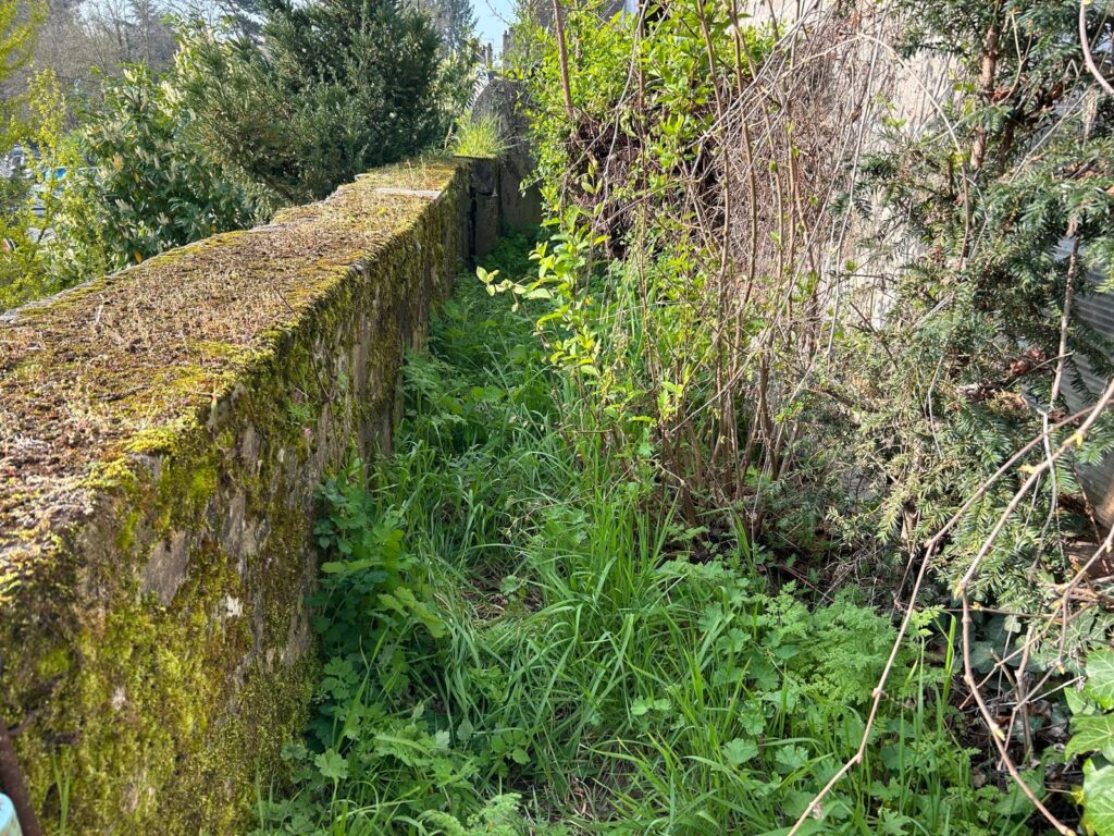 WhatsApp Image 2026-03-24 at 19.51.57