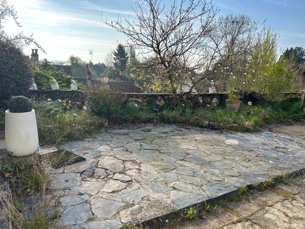 WhatsApp Image 2026-03-24 at 19.55.15