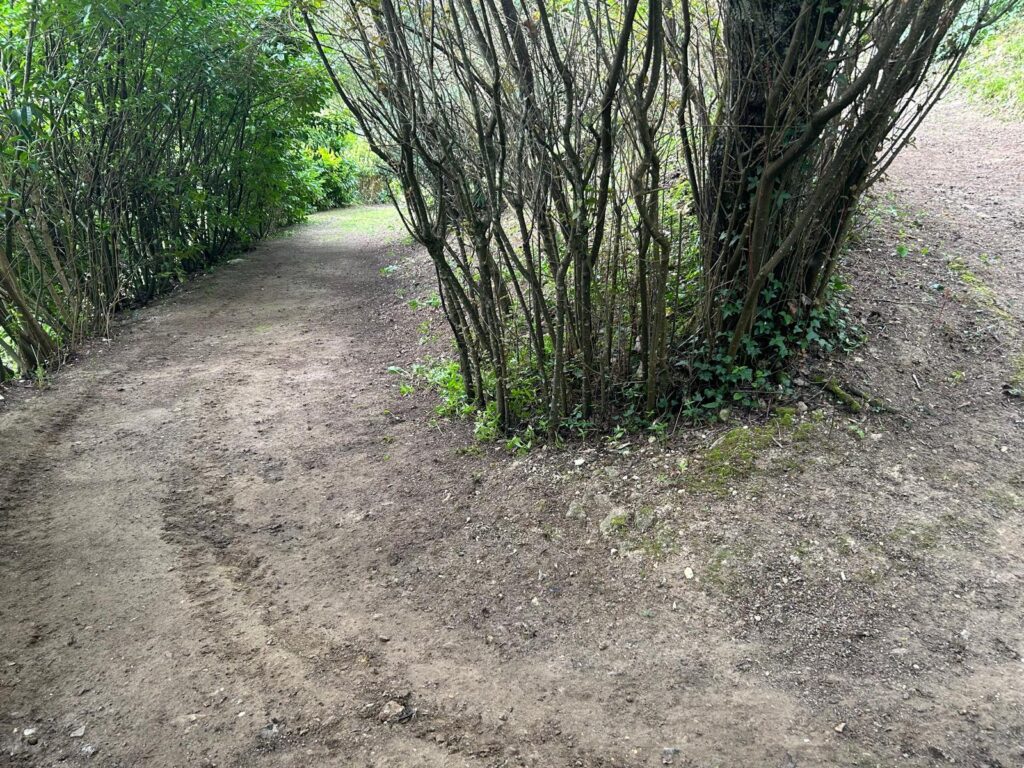 WhatsApp Image 2026-03-26 at 19.44.04 (1)