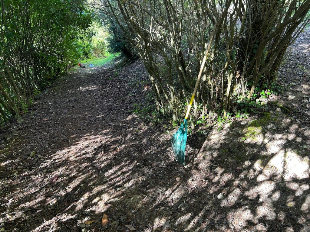 WhatsApp Image 2026-03-26 at 19.44.04