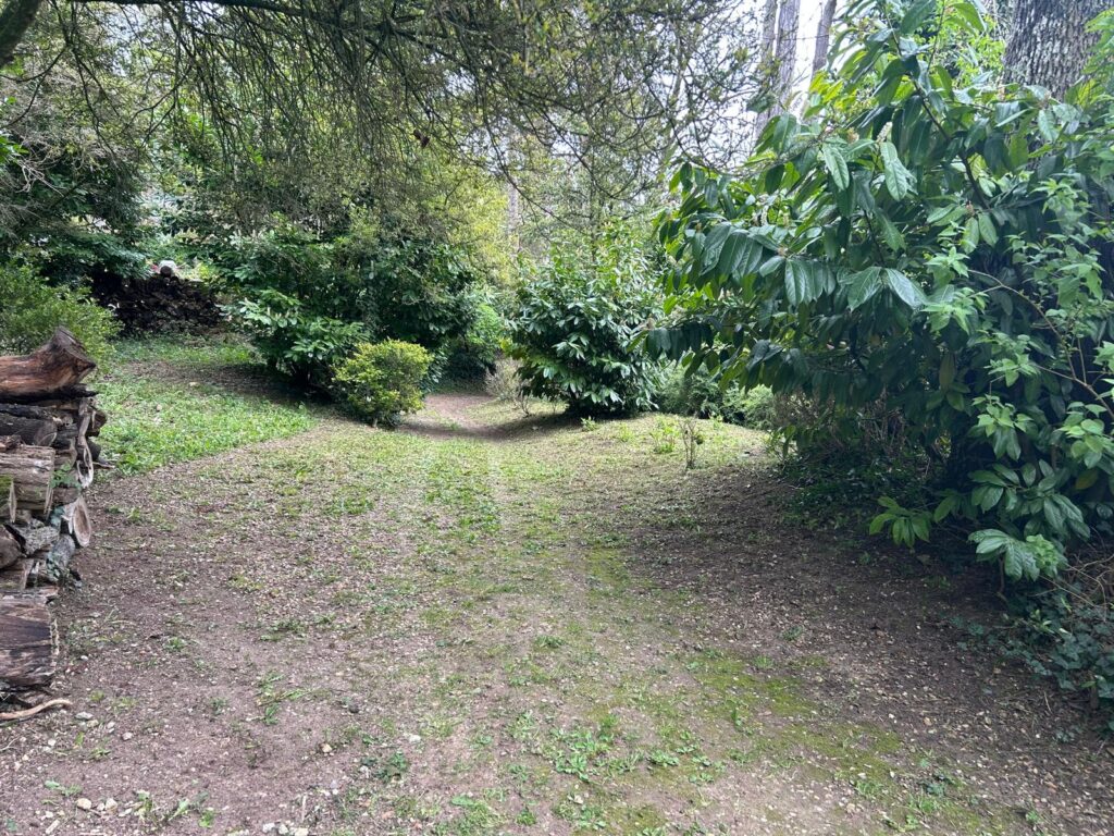 WhatsApp Image 2026-03-26 at 19.45.04 (1)