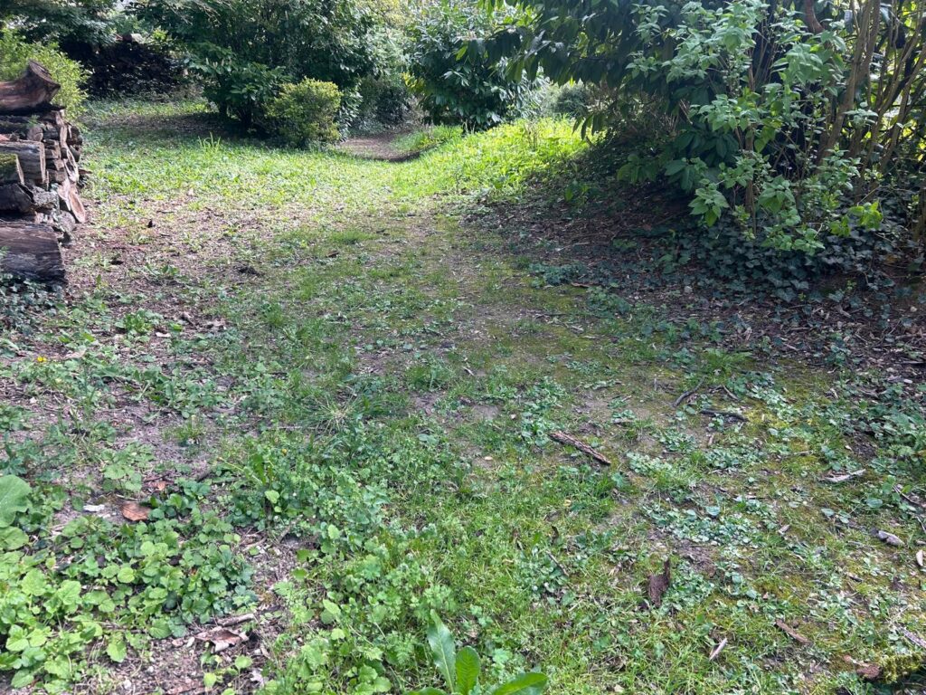 WhatsApp Image 2026-03-26 at 19.45.04