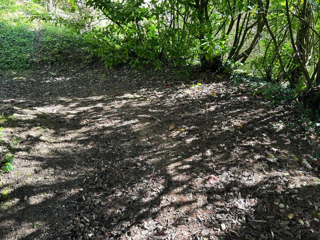 WhatsApp Image 2026-03-26 at 19.45.49