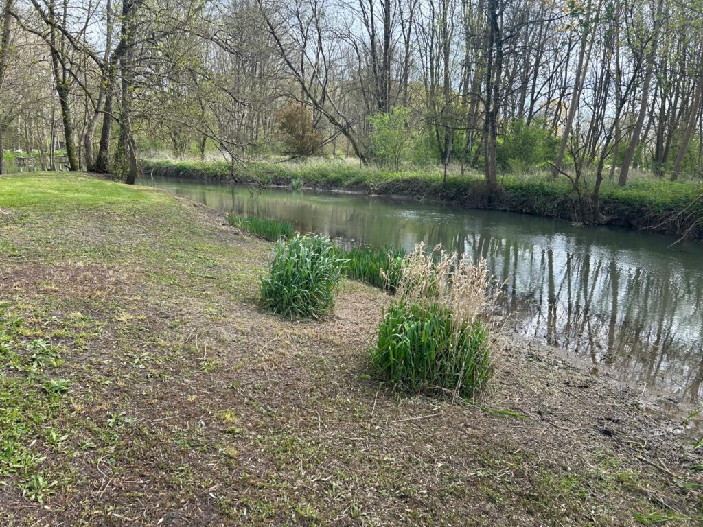 WhatsApp Image 2026-03-26 at 19.48.43 (1)