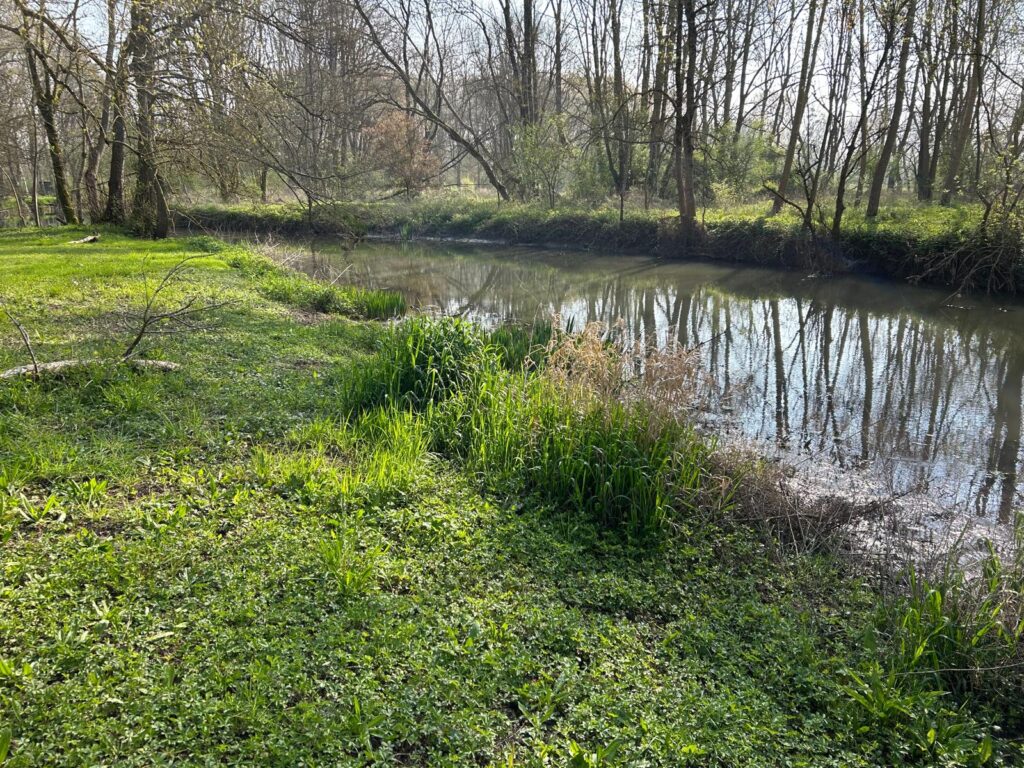 WhatsApp Image 2026-03-26 at 19.48.43