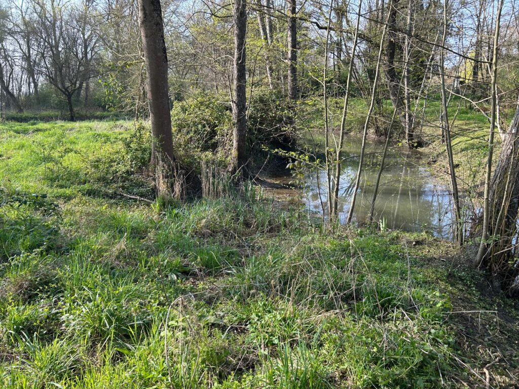 WhatsApp Image 2026-03-26 at 19.48.43 (2)