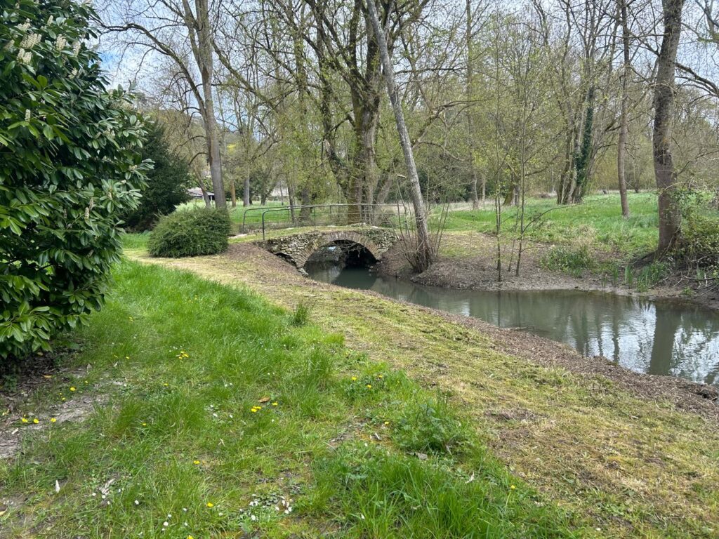 WhatsApp Image 2026-03-26 at 19.51.50 (1)