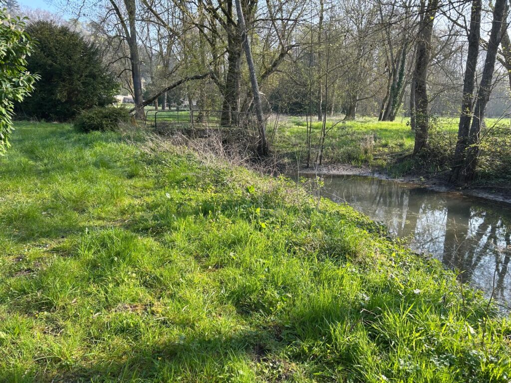 WhatsApp Image 2026-03-26 at 19.51.50 (2)