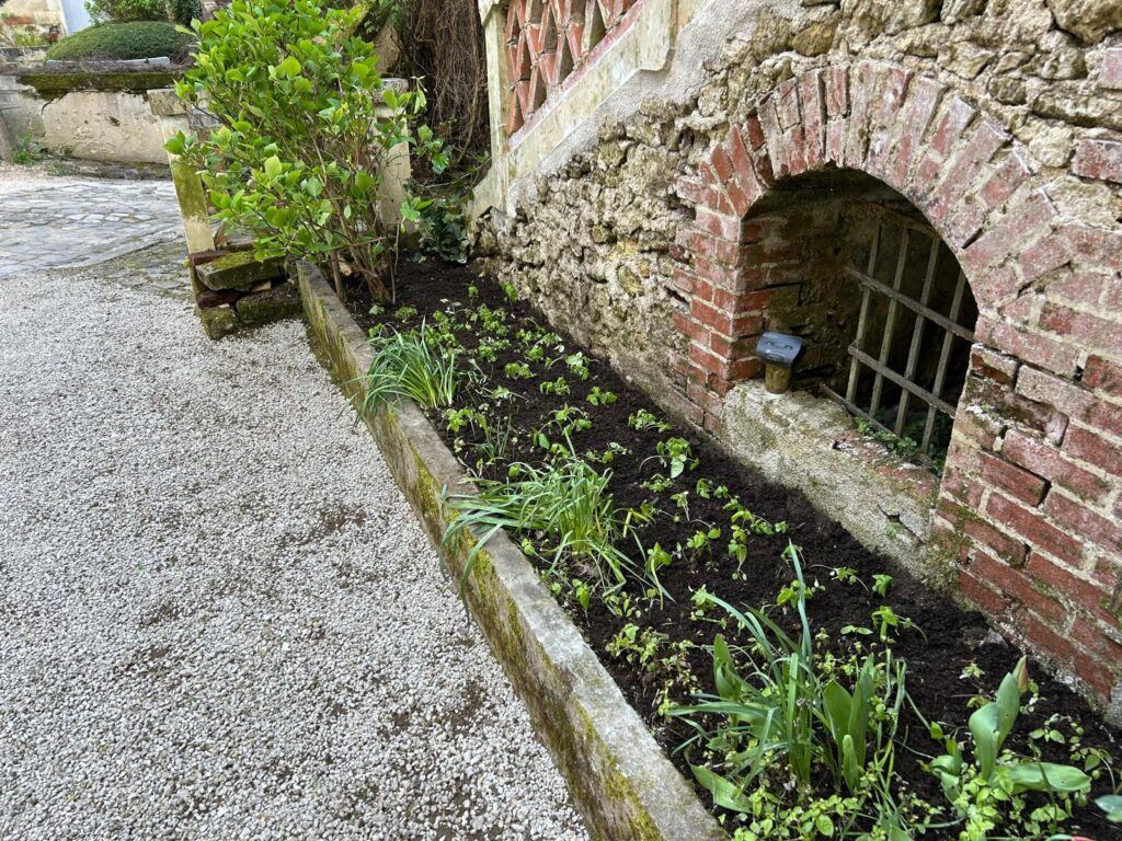 WhatsApp Image 2026-03-27 at 13.20.43