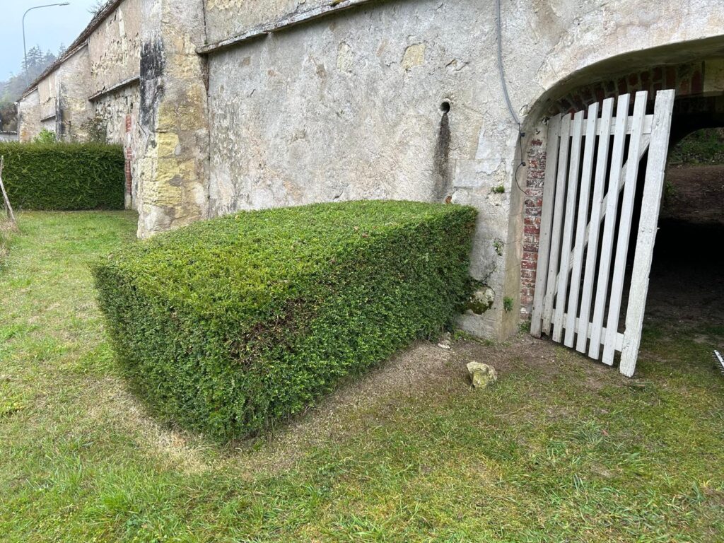 WhatsApp Image 2026-03-30 at 16.41.58 (1)