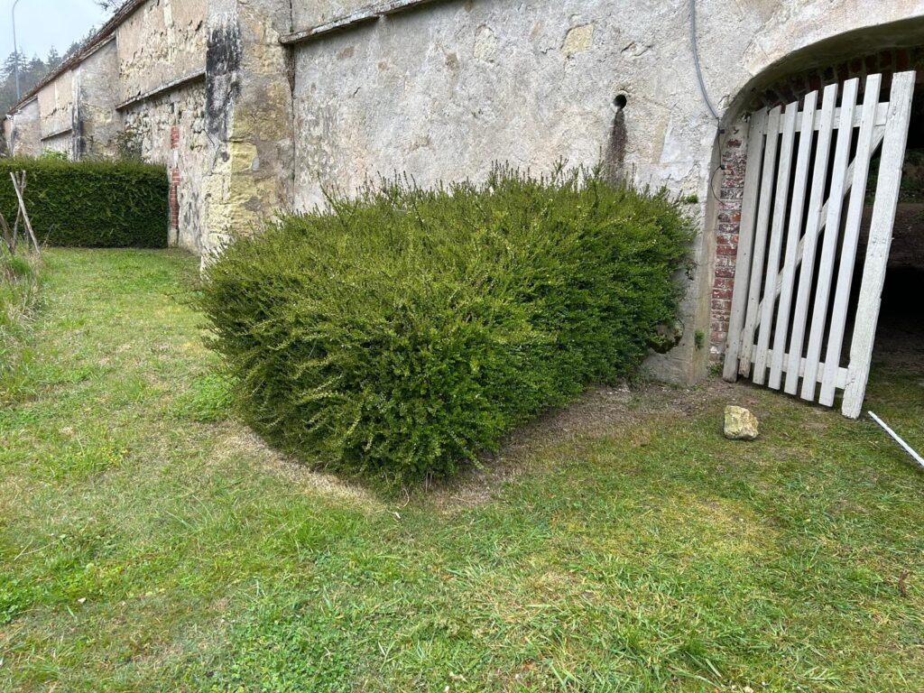 WhatsApp Image 2026-03-30 at 16.41.58