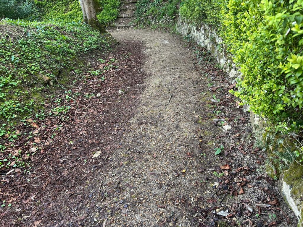 WhatsApp Image 2026-03-30 at 16.42.28