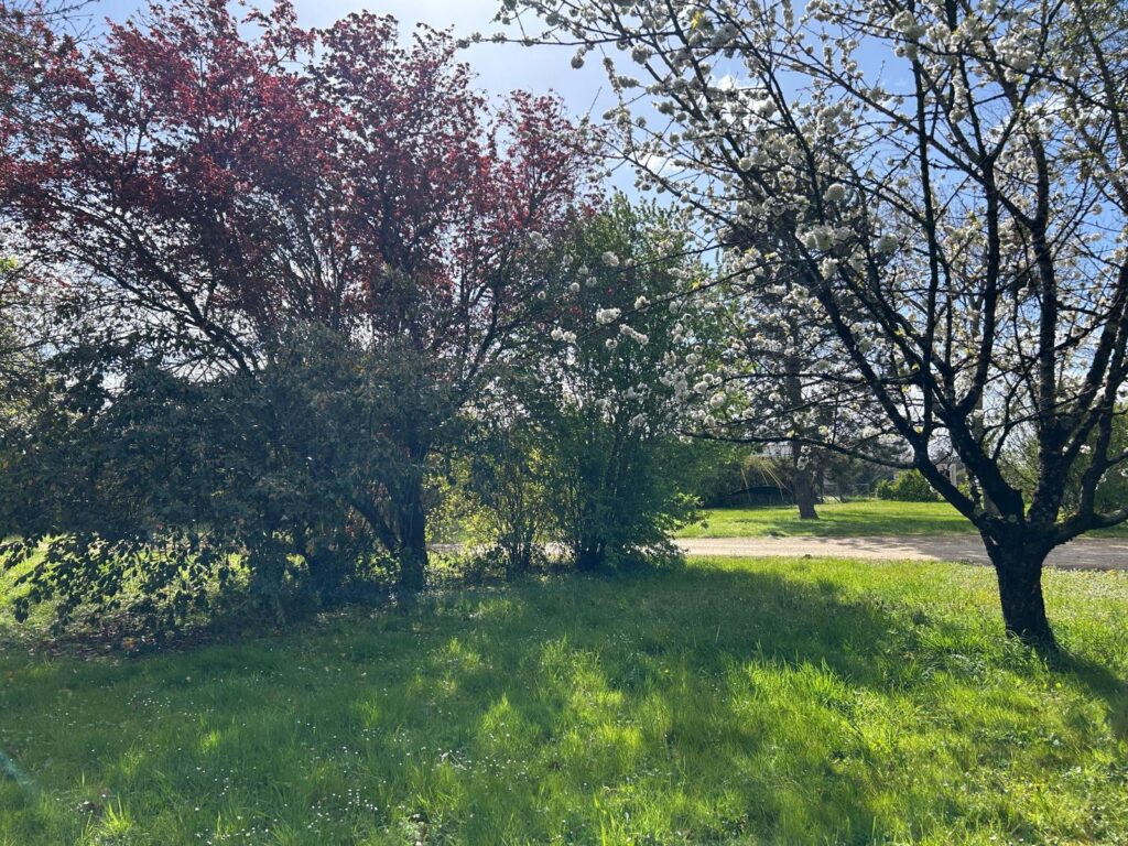 WhatsApp Image 2026-03-31 at 13.35.45