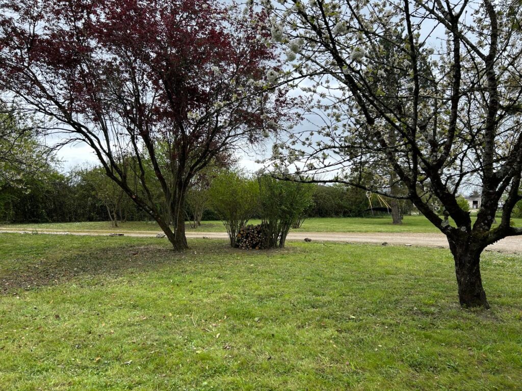 WhatsApp Image 2026-03-31 at 13.35.57