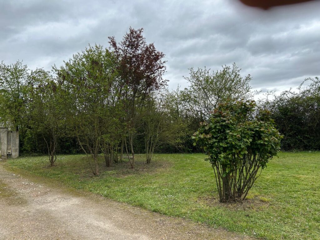 WhatsApp Image 2026-03-31 at 14.48.50 (1)