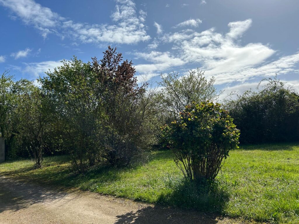 WhatsApp Image 2026-03-31 at 14.48.50