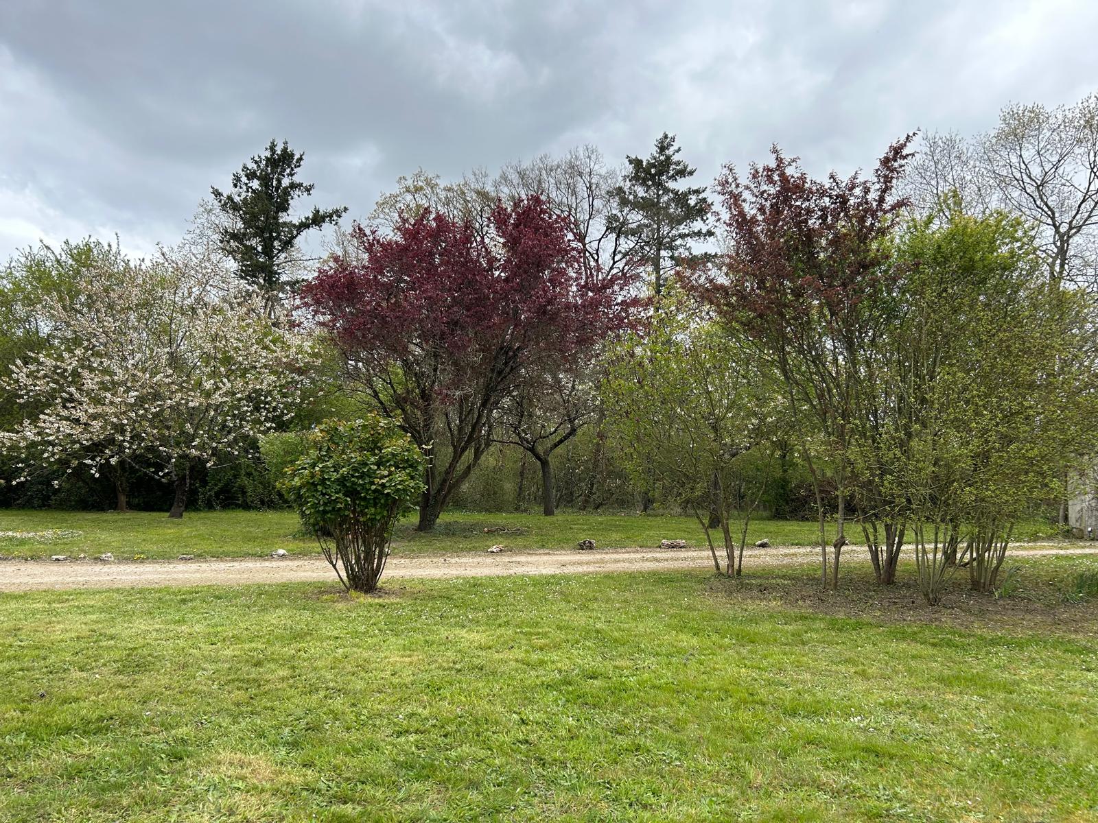 WhatsApp Image 2026-03-31 at 14.50.19 (1)