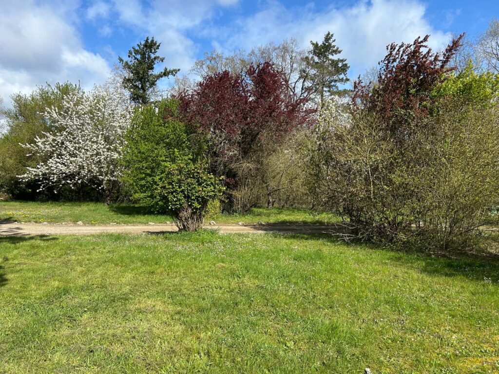 WhatsApp Image 2026-03-31 at 14.50.19