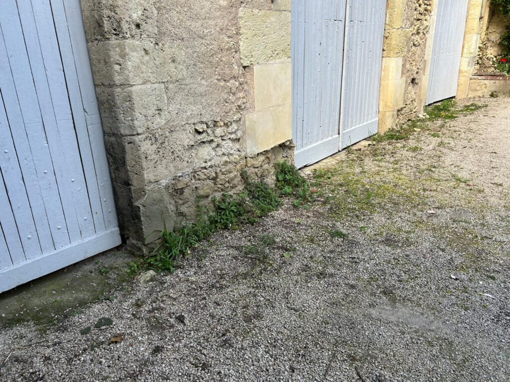 WhatsApp Image 2026-04-03 at 19.01.14 (1)