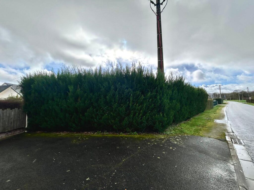 WhatsApp Image 2026-04-04 at 12.45.54